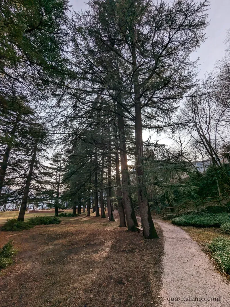Trees and pathway in Parco Naturale Trento
