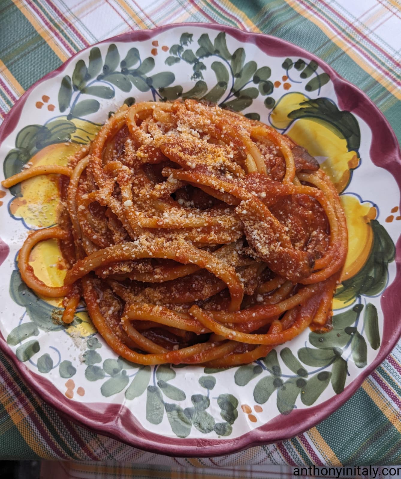 A colorful ceramic plate filled with bucatini all’amatriciana, coated in a rich tomato sauce and topped with grated pecorino cheese, served at Il Carroccio in Rome over a green plaid tablecloth