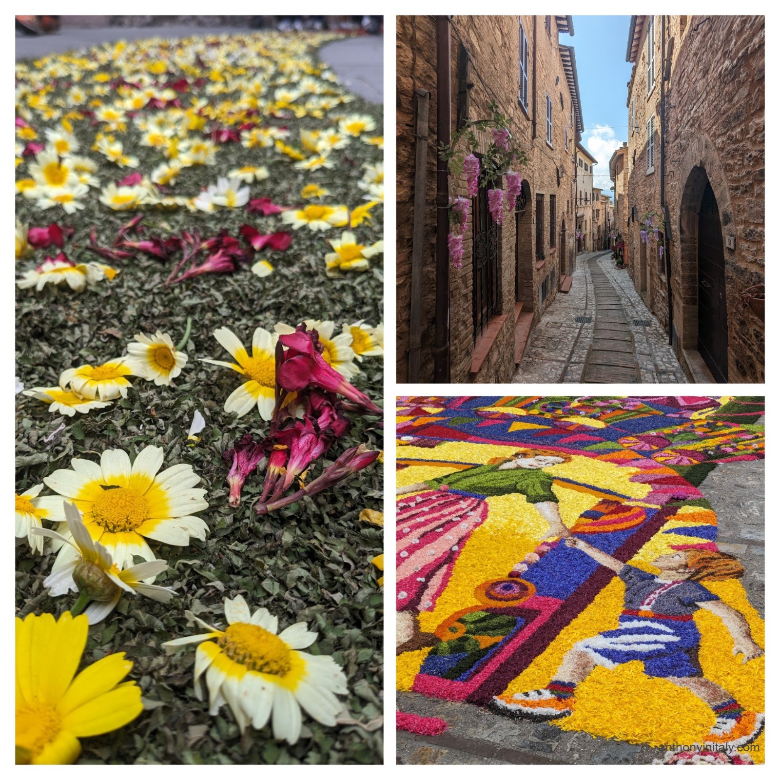 Three photos from Spello's Infiorata festival in Umbria: close-up of yellow and red flower petals on the ground, a narrow stone medieval alley with wisteria, and a vibrant large-scale artwork made entirely from colored flower petals covering the street.