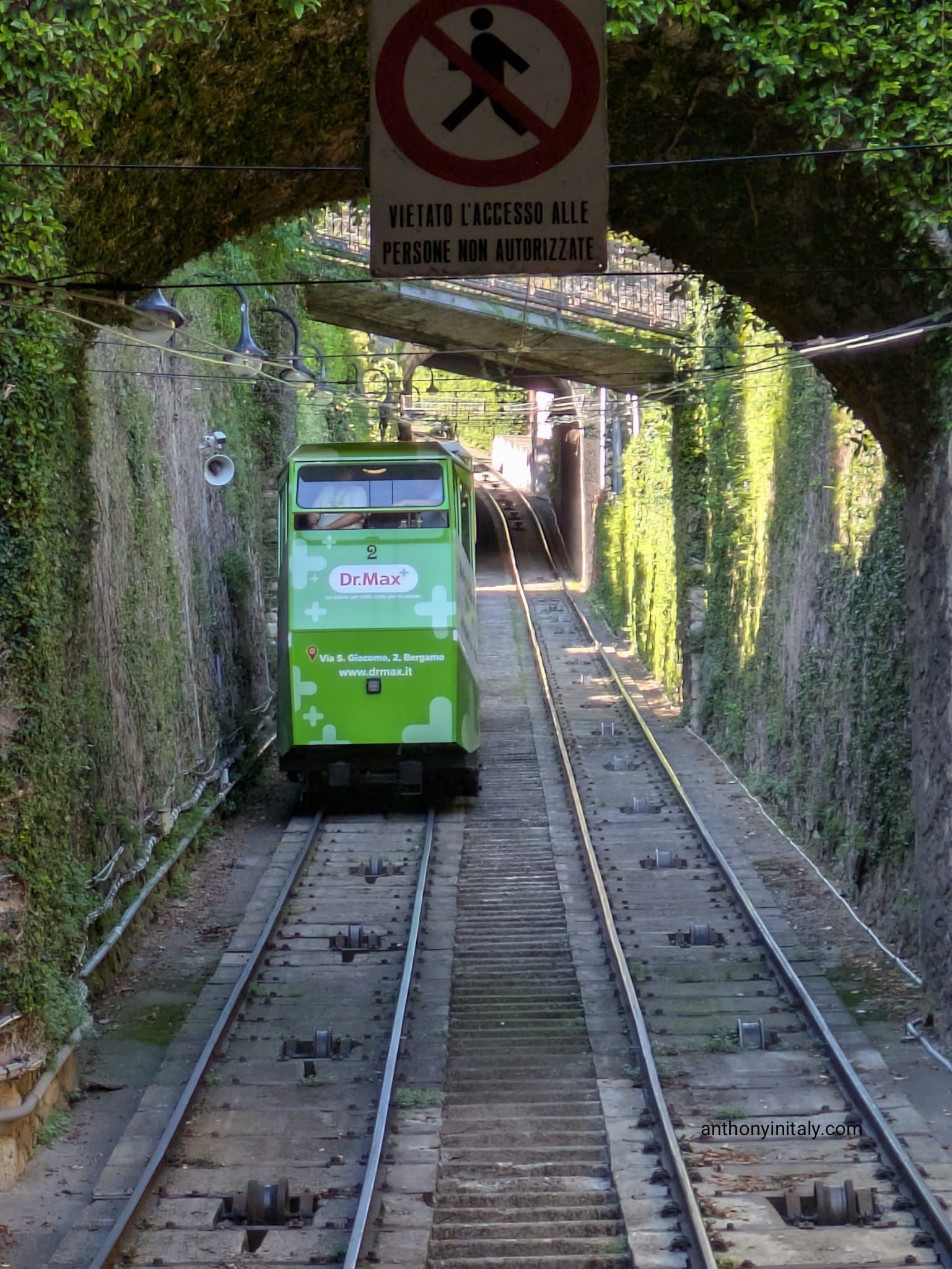 The green funicular car climbing an ivy-covered track up to Città Alta in Bergamo