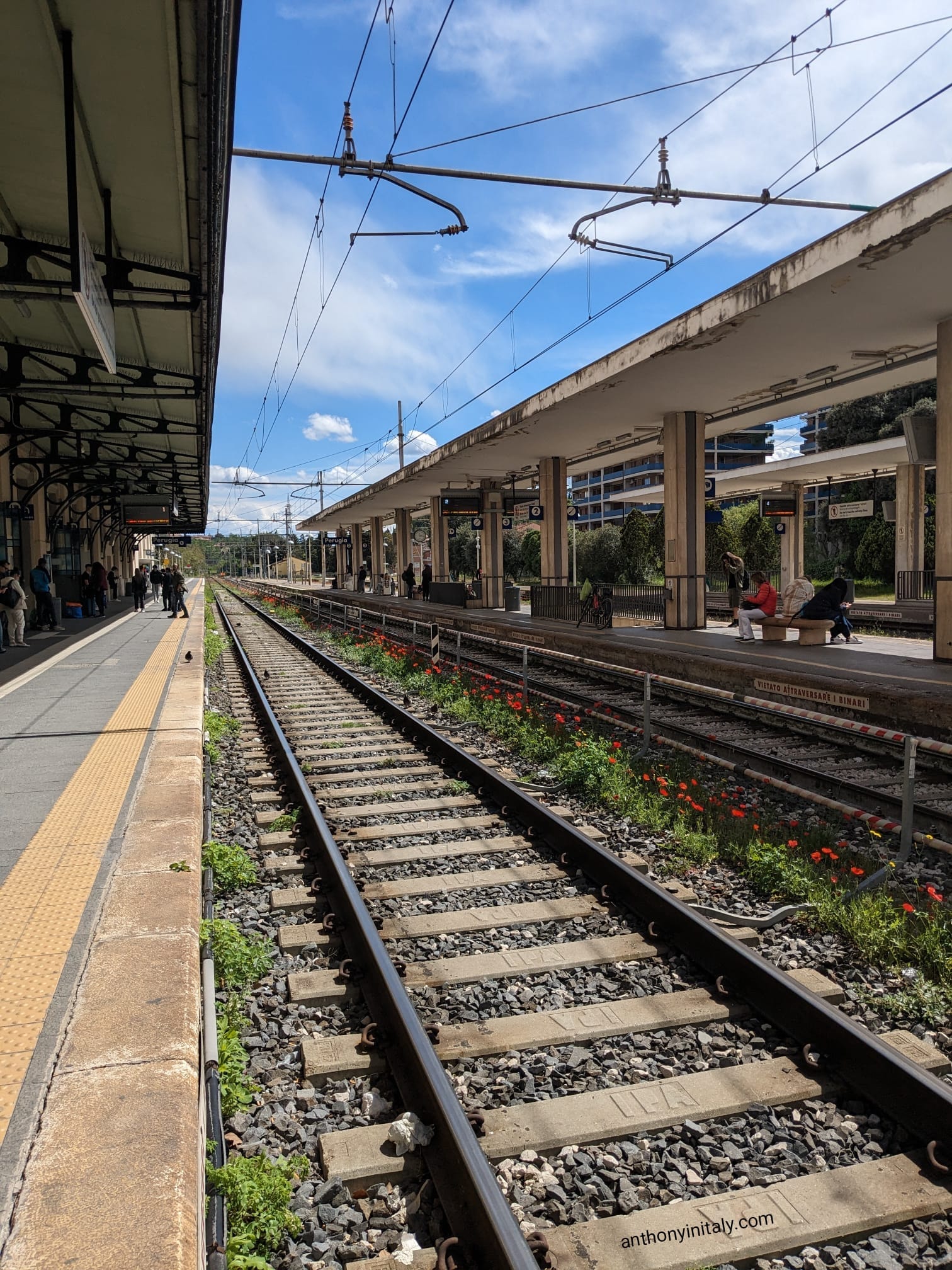 Train tracks and platforms at Perugia Fontivegge station, with red poppies growing between the rails